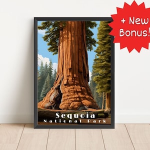 Sequoia National Park Poster Wall Art Travel Poster National Park Sequoia California Print Living Room Art Digital Download Poster Print