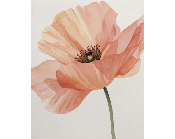 Peach Watercolor Poppy Matte Vertical Poster | Botanical Wall Art