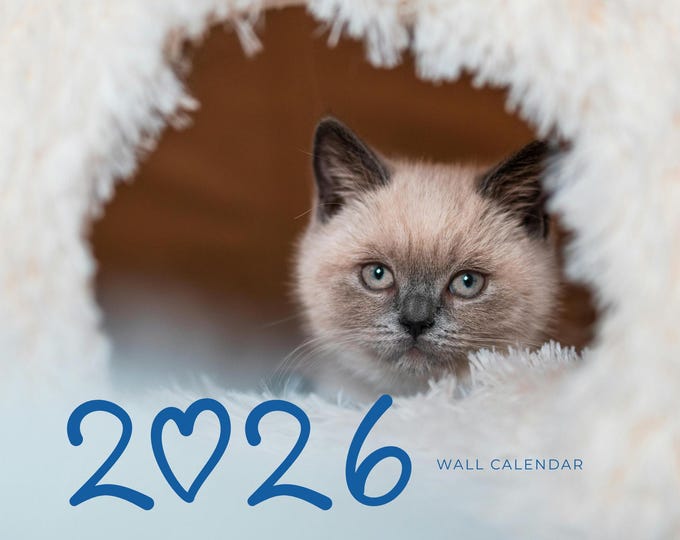 2026 Wall Calendar – A Year of Cuteness and Charm