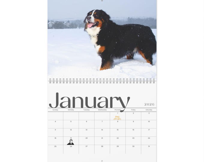 Majestic Moments: A Year with Bernese Mountain Dogs