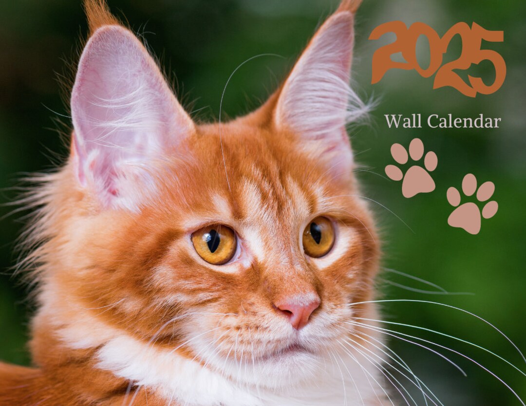 Printable 2025 Wall Calendar for the Love of Maine Coons Etsy