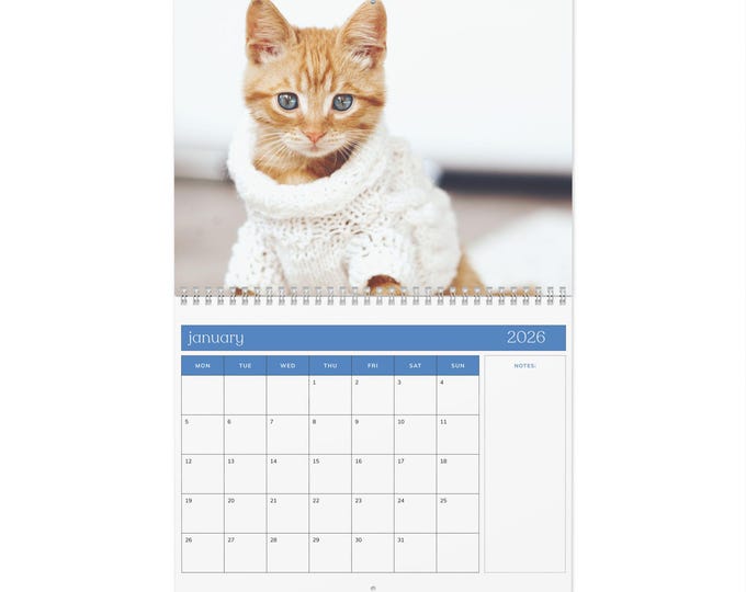 Purrfect Moments: 2026 Cat Lovers Calendar