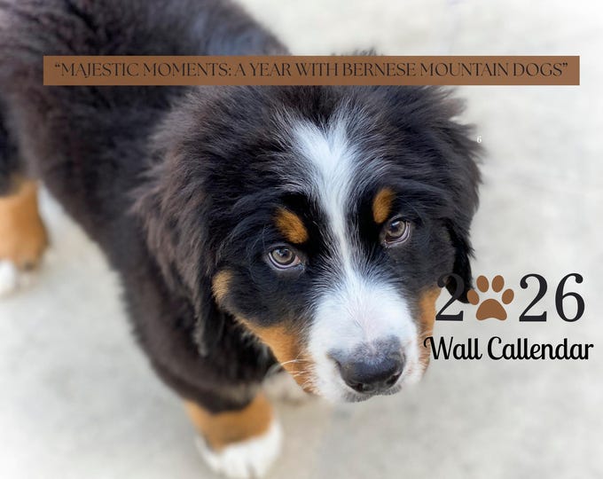 Majestic Moments: A Year with Bernese Mountain Dogs 2026 Printable Wall Calendar