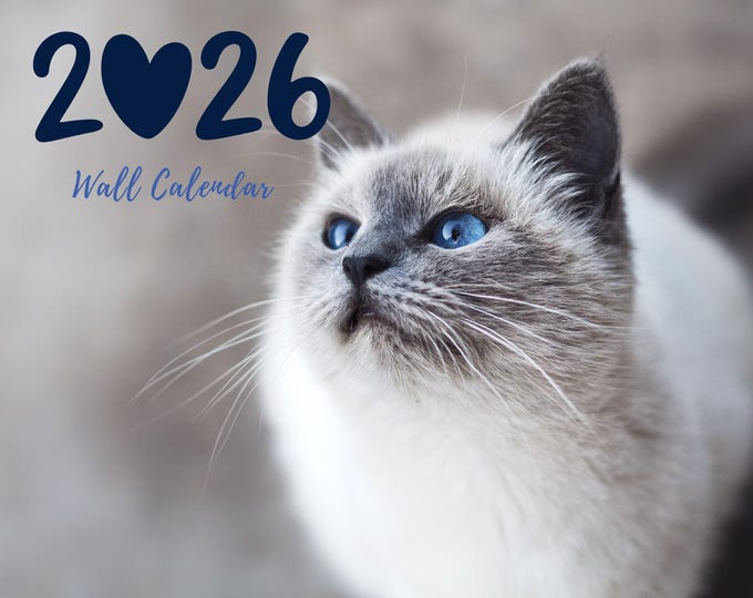 Purrfect Moments: 2026 Cat Lovers Calendar Instant Download