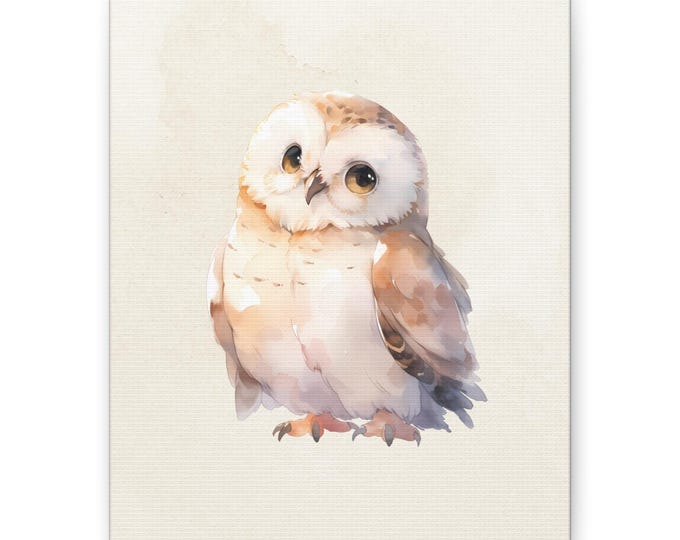 Watercolor Barn Owl Canvas | Stretched Matte Canvas