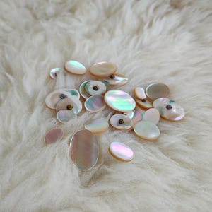 Könnte beinhalten: Eine Sammlung von irisierenden weißen ovalen und runden Knöpfen aus Perlmutt. Die Knöpfe sind auf einer weißen, flauschigen Oberfläche verstreut.
