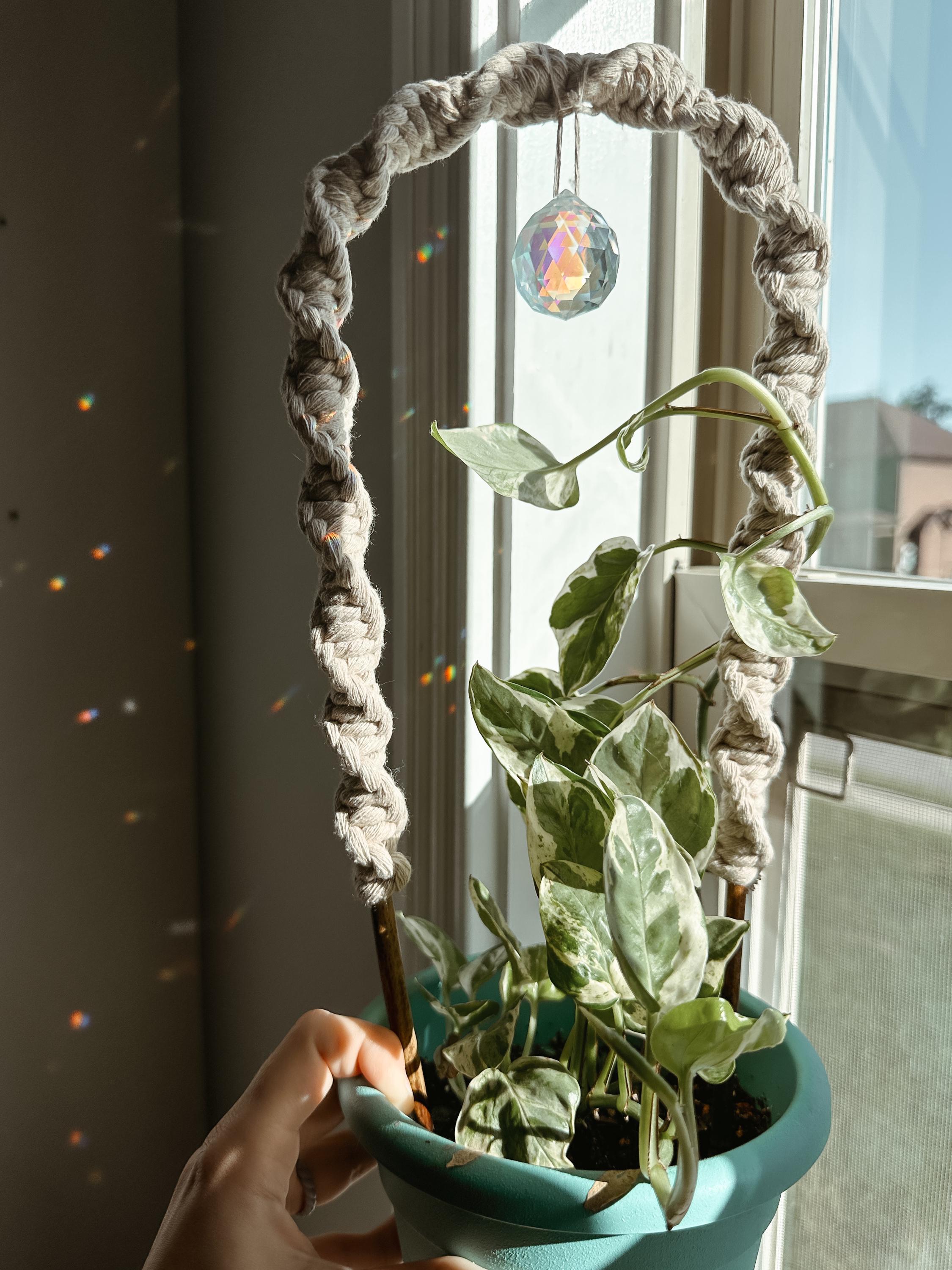 Macrame Plant Trellis: Bamboo Suncatcher With Crystal Prism - Etsy