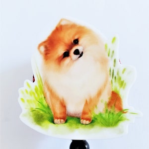 Pomeranian Dog Badge Reel: Breakaway Lanyard or Stethoscope ID Tag