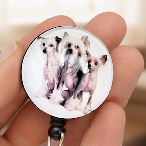 May include: A circular badge reel featuring a high-resolution print of three Chinese Crested dogs against a white background. The dogs are depicted in various poses, showcasing their distinct hairless skin, spotted patterns, and tufted fur.