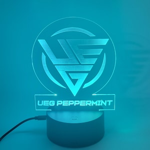 Personalisiertes GamerTag Lichtschild, Benutzerdefiniertes GamerTag Zeichen, personalisiertes Streamer Lichtschild, Benutzerdefiniertes Gaming Zeichen, Gamer LED Zeichen, Zustandsform