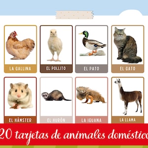 Tarjetas de animales domésticos educativas para niños | Tarjetas imprimibles gallego y español | Cartas Montessori animales| Flashcards