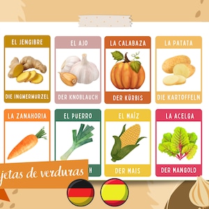 Tarjetas de verduras educativas para niños | Tarjetas imprimibles alemán y español | Cartas Montessori verduras| Flashcard verduras| Colegio