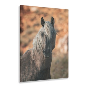 May include: A rectangular wall art print featuring a portrait of a horse with a dark brown coat and a long, flowing white mane. The horse is facing forward with its ears pointed upward, set against a soft-focus, warm-toned, earthy background.