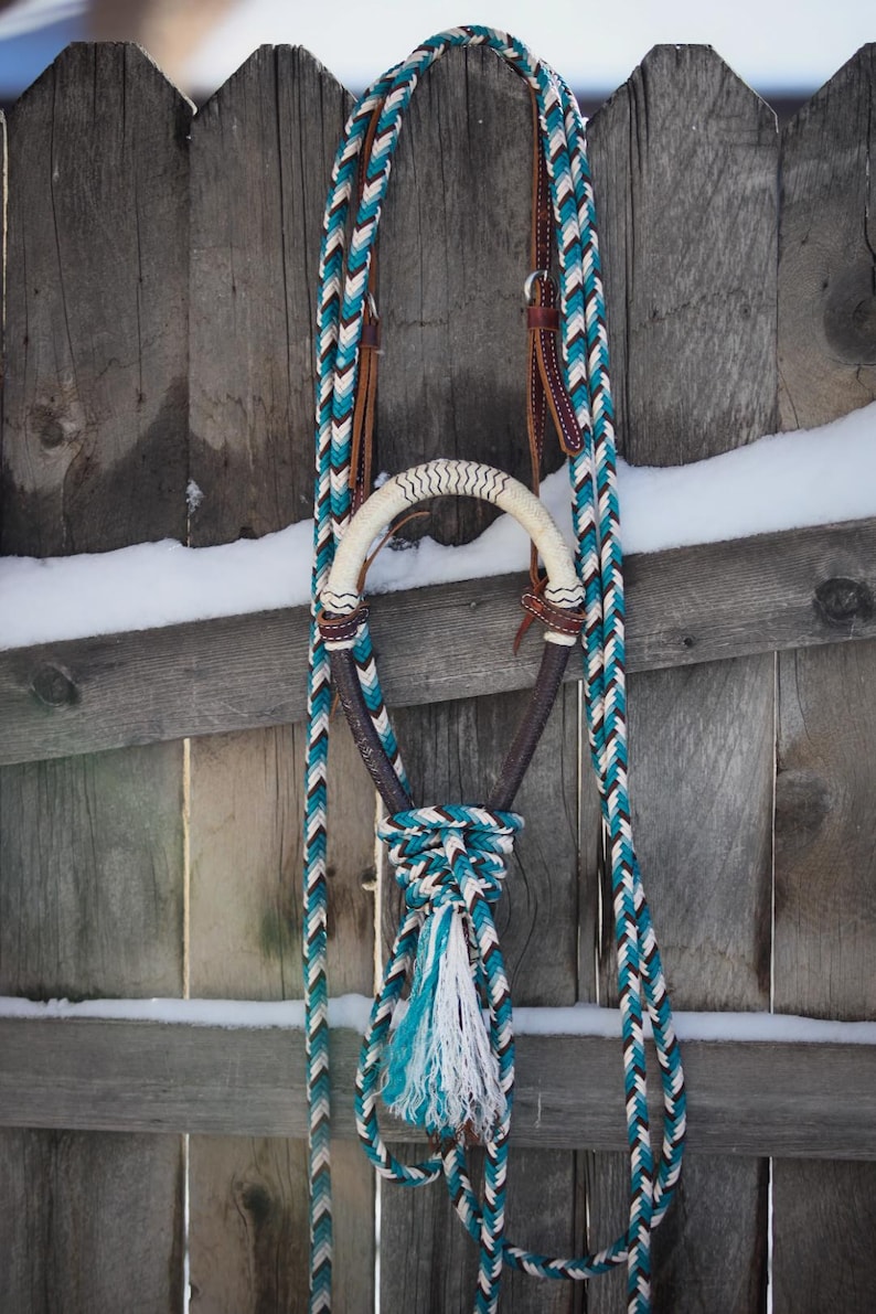 May include: A horse halter and lead rope set featuring a braided pattern in teal, white, and black. The halter includes a white rawhide noseband, dark brown leather accents, and a decorative tassel at the base of the chin strap.