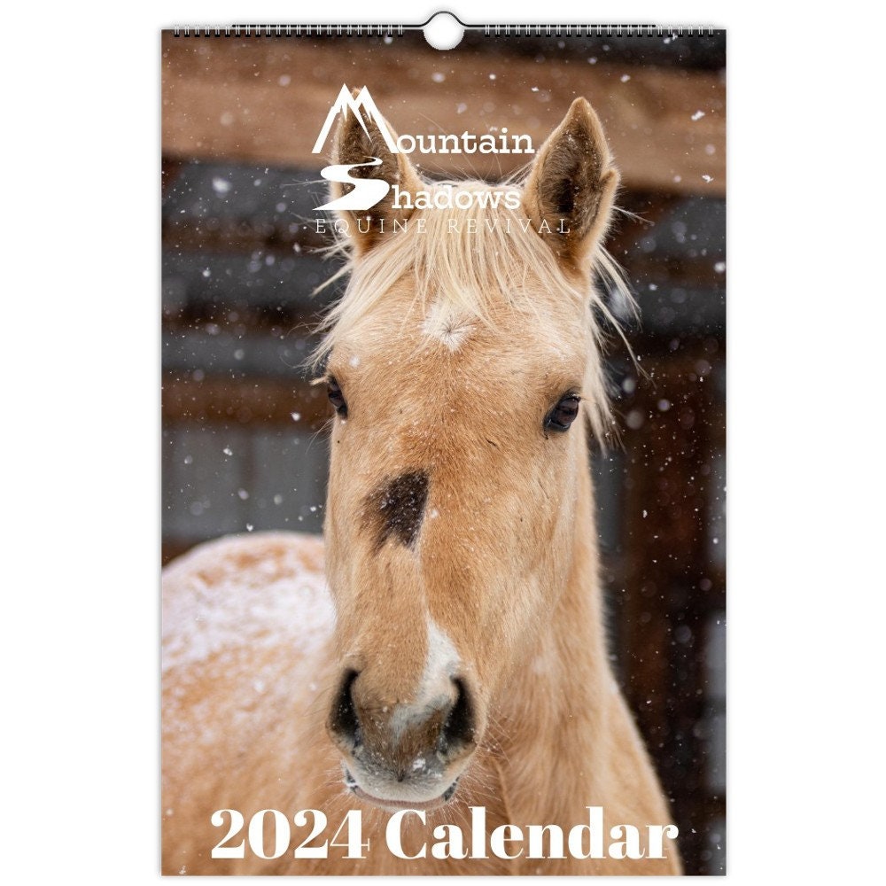 Advent Calendar Horses - Etsy