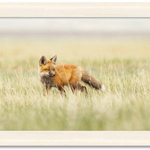 Houten paneel, hout ingelijste rode vos fotografie kunst aan de muur | Houten paneeldruk in natuurlijke onafgewerkte houten lijst van red fox-kitfoto