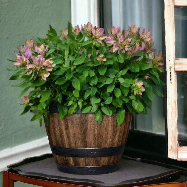 Large Resin Plant Pot Garden Flower Pot Walnut Barrel Gardening Pots Indoor & Outside Decoration Summer Garden Decor Housewarming Gifts