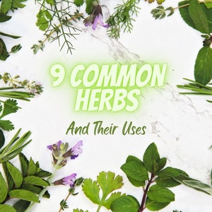 Puede incluir: Un fondo blanco de mármol con varias hierbas frescas dispuestas en los bordes. El texto "9 COMMON HERBS And Their Uses" se muestra en una fuente verde brillante en el centro de la imagen. Las hierbas incluyen romero, menta y tomillo.