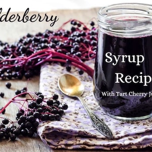 Elderberry Syrup Recipe