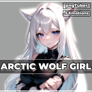 pngTuber, White Arctic Wolf Girl 2d Vtuber / Premade & Presetup model with 5 expressions, ready for streaming / Veadotube / Twitch