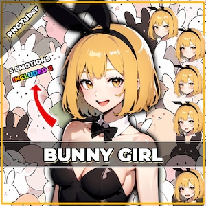 pngTuber, Bunny Girl 2d Vtuber / Premade & Presetup model with 5 expressions, ready for streaming / Veadotube / Twitch / Ready to Use Model