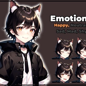 pngTuber, Black Cat Neko Boy 2d Vtuber / Premade & Presetup model with 5 expressions, ready for streaming / Veadotube / Twitch / Male / Boy image 2