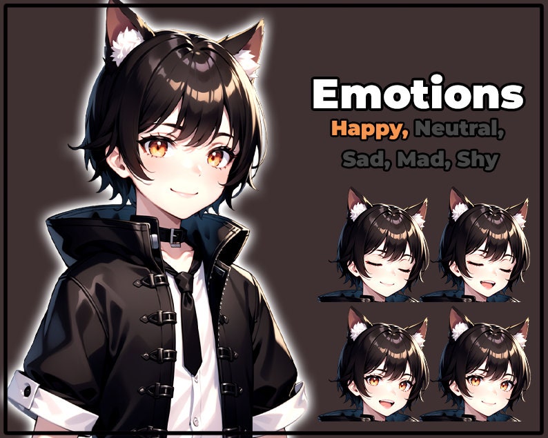 pngTuber, Black Cat Neko Boy 2d Vtuber / Premade & Presetup model with 5 expressions, ready for streaming / Veadotube / Twitch / Male / Boy image 2