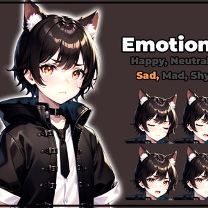 pngTuber, Black Cat Neko Boy 2d Vtuber / Premade & Presetup model with 5 expressions, ready for streaming / Veadotube / Twitch / Male / Boy image 4