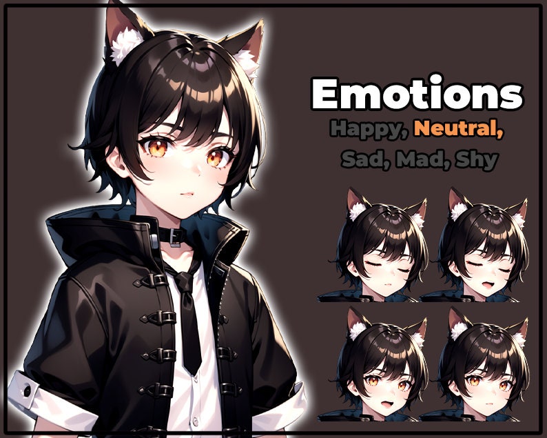 pngTuber, Black Cat Neko Boy 2d Vtuber / Premade & Presetup model with 5 expressions, ready for streaming / Veadotube / Twitch / Male / Boy image 3