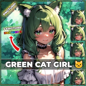 pngTuber, Green Neko Cat Girl 2d Vtuber / Premade & Presetup model with 5 expressions, ready for streaming / Veadotube / Twitch / Ready Use