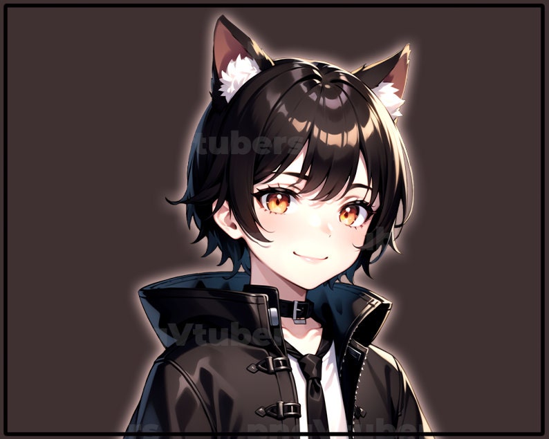 pngTuber, Black Cat Neko Boy 2d Vtuber / Premade & Presetup model with 5 expressions, ready for streaming / Veadotube / Twitch / Male / Boy image 8