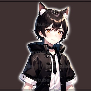 pngTuber, Black Cat Neko Boy 2d Vtuber / Premade & Presetup model with 5 expressions, ready for streaming / Veadotube / Twitch / Male / Boy image 7