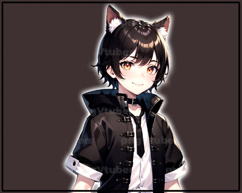 pngTuber, Black Cat Neko Boy 2d Vtuber / Premade & Presetup model with 5 expressions, ready for streaming / Veadotube / Twitch / Male / Boy image 7