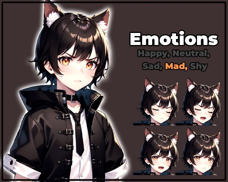 pngTuber, Black Cat Neko Boy 2d Vtuber / Premade & Presetup model with 5 expressions, ready for streaming / Veadotube / Twitch / Male / Boy image 5