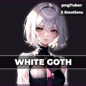 pngTuber, White Goth Girl 2d Vtuber / Premade & Presetup model with 5 expressions, ready for streaming / Veadotube / Twitch