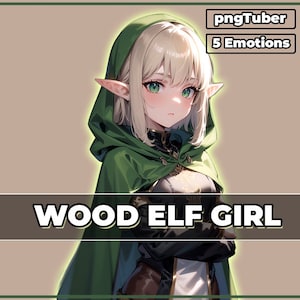 pngTuber, Wood Elf Girl 2d Vtuber / Premade & Presetup model with 5 expressions, ready for streaming / Veadotube / Twitch