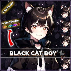 pngTuber, Black Cat Neko Boy 2d Vtuber / Premade & Presetup model with 5 expressions, ready for streaming / Veadotube / Twitch / Male / Boy image 1