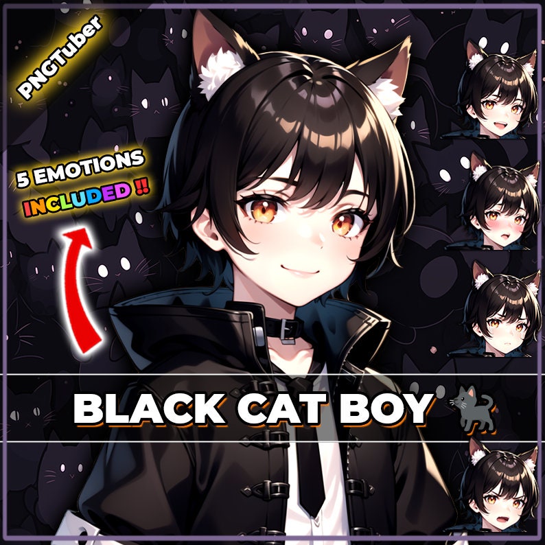 pngTuber, Black Cat Neko Boy 2d Vtuber / Premade & Presetup model with 5 expressions, ready for streaming / Veadotube / Twitch / Male / Boy image 1