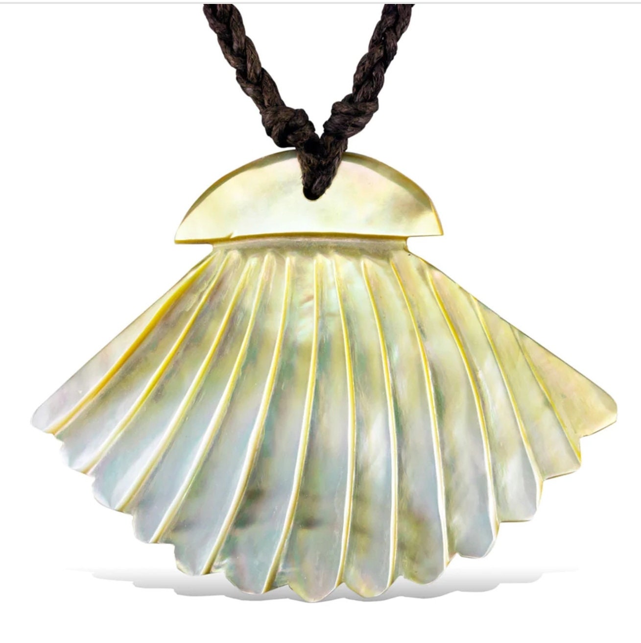 Greek Fan Shell NATIVE TAINO/TAINA Ocean Fan Shell Pendant - Etsy