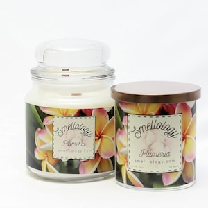 Plumeria,  Wooden Wick Coconut Candle, Refreshing/Clean/Floral Scented Candle, Stocking Stuffers, Birthday Gift, Christmas Gift
