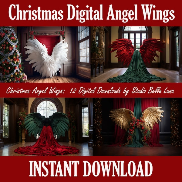 Digital Backdrops Angel Wings x12, Digital Backgrounds, Photoshop Overlays, Studio Backdrops, Maternity Backdrops, Christmas Photography