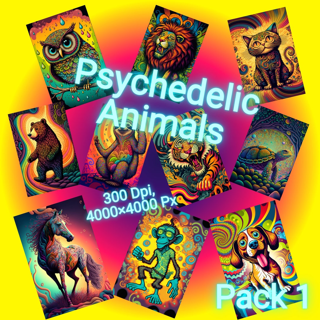 Colourful Wall Art Pack 1 Decor Wall Art Crazy Hippie Etsy