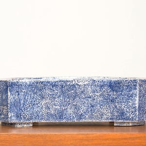Puede incluir: Una jardinera rectangular de cerámica azul y blanca con un estampado floral. La jardinera tiene un perfil bajo y descansa sobre cuatro pequeños pies. El diseño floral es un patrón repetitivo de pequeñas formas en forma de estrella.