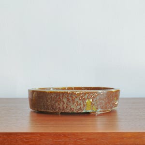 May include: A brown oval ceramic bonsai pot with a textured glaze. The pot has a light green and gold color variation in the glaze.