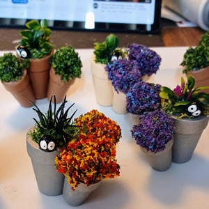 Barbie House sized planters with peekers