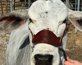 All Leather Cattle Show Halter