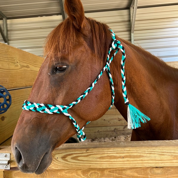 thumbnail interactive-video image 1 of Tough 1 Hand Braided Mule Tape Halter With 10 Ft Lead - Black Or White, Full Size Horse 1 of 5