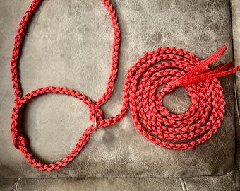 Cow Mule Tape Halter!