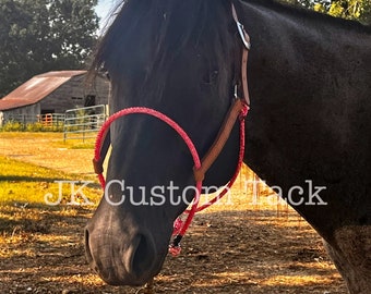 Work Horse Lariat Hybrid Halter