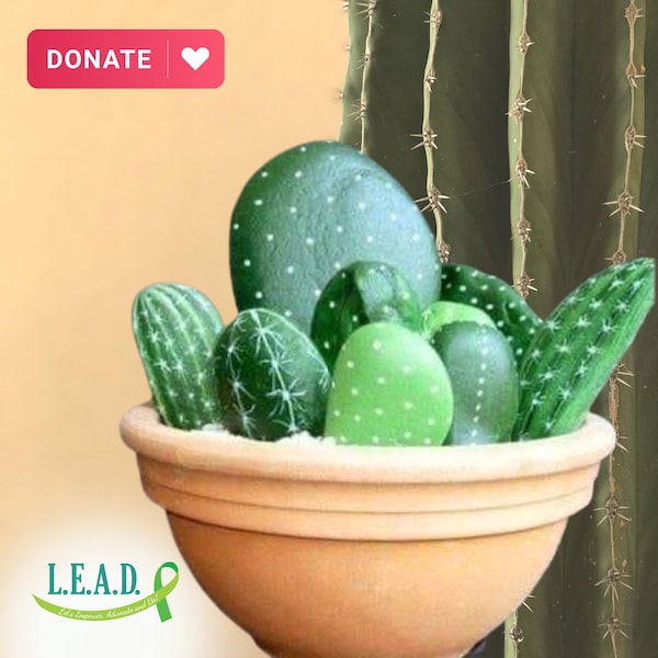 Plant with Purpose: Hand-Painted Cacti Rocks - Support Mental Health Nonprofit -  Indoor & Outdoor Maceta Pintada a Mano S21